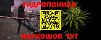 крисы Донской