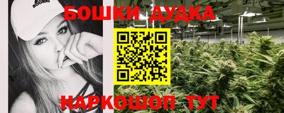 крисы Донской