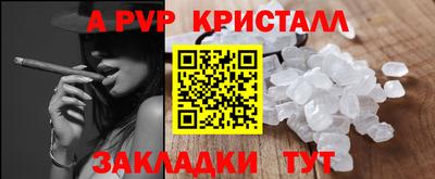 крисы Донской