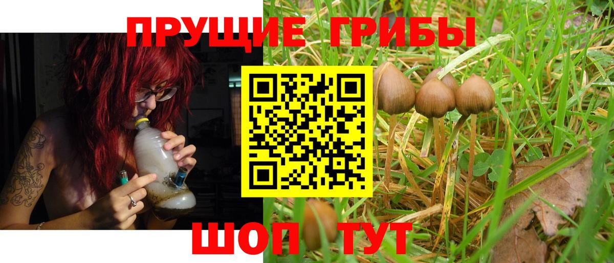 Псилоцибиновые грибы ЛСД  Галлюциногенные грибы Psilocybine cubensis  Вход с VPN  Малгобек 