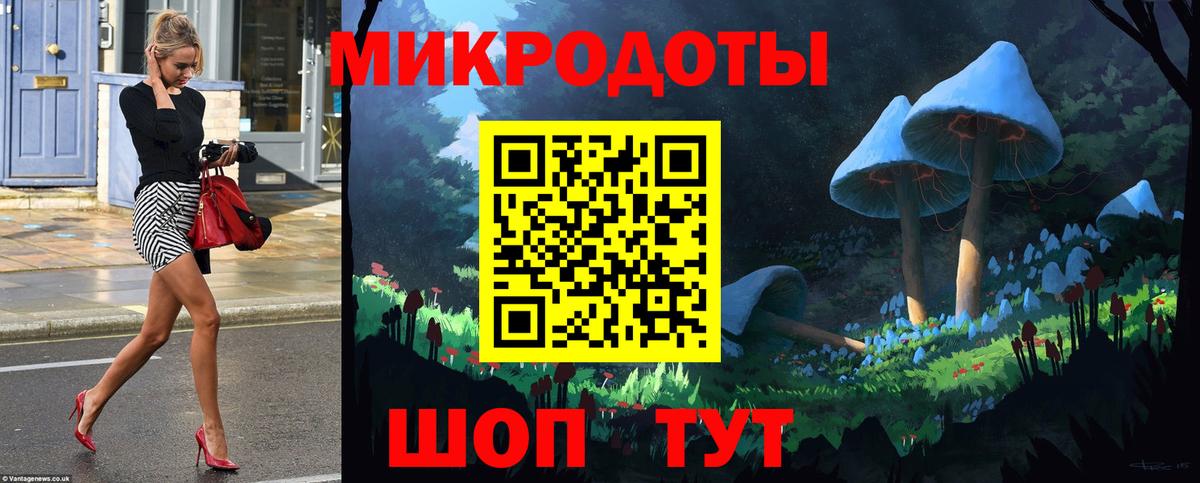 Галлюциногенные грибы Psilocybine cubensis Малгобек
